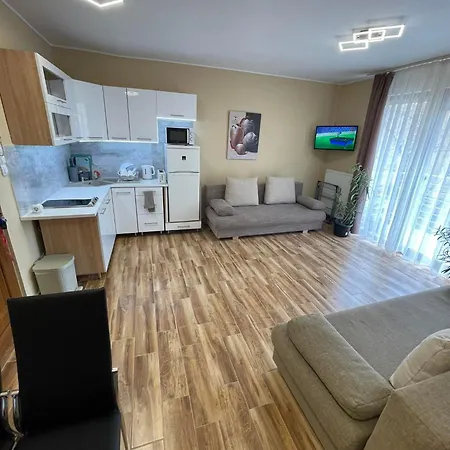 Apartament Ildiko Wellnes *
